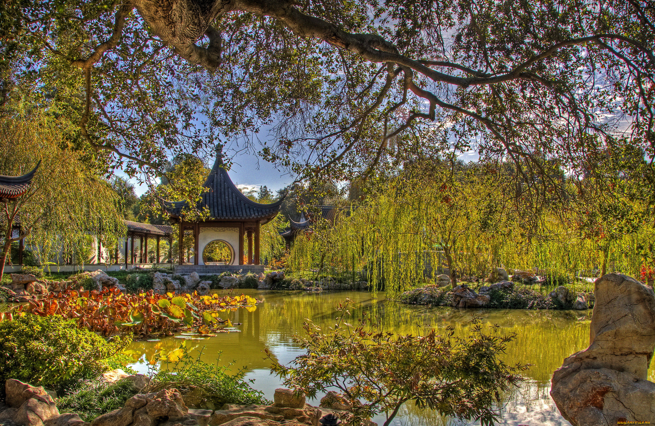 chinese, garden, san, marino, california, usa, , , , 